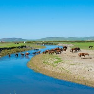 Meet your Posher, Mario